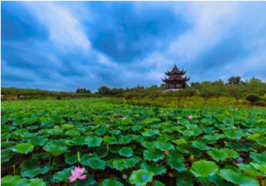 海”带你逛遍魔都海岸线!开元棋牌16+6“走进申(图11) 海”带你逛遍魔都海岸线!开元棋牌16+6“走进申(图11)