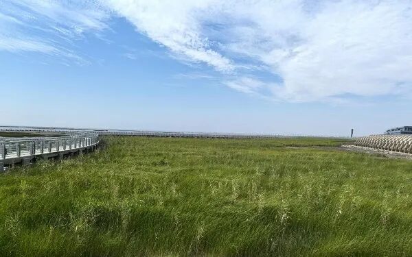 海”带你逛遍魔都海岸线!开元棋牌16+6“走进申(图6) 海”带你逛遍魔都海岸线!开元棋牌16+6“走进申(图6)