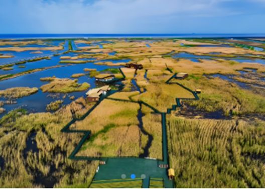 海”带你逛遍魔都海岸线!开元棋牌16+6“走进申(图8) 海”带你逛遍魔都海岸线!开元棋牌16+6“走进申(图8)