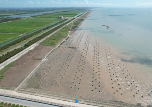 海”带你逛遍魔都海岸线!开元棋牌16+6“走进申(图3) 海”带你逛遍魔都海岸线!开元棋牌16+6“走进申(图3)