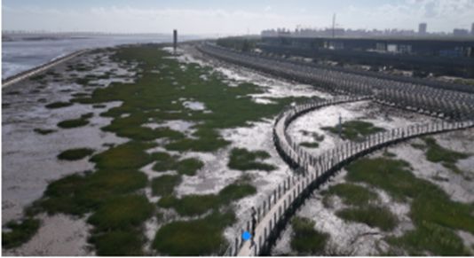 海”带你逛遍魔都海岸线!开元棋牌16+6“走进申(图12) 海”带你逛遍魔都海岸线!开元棋牌16+6“走进申(图12)