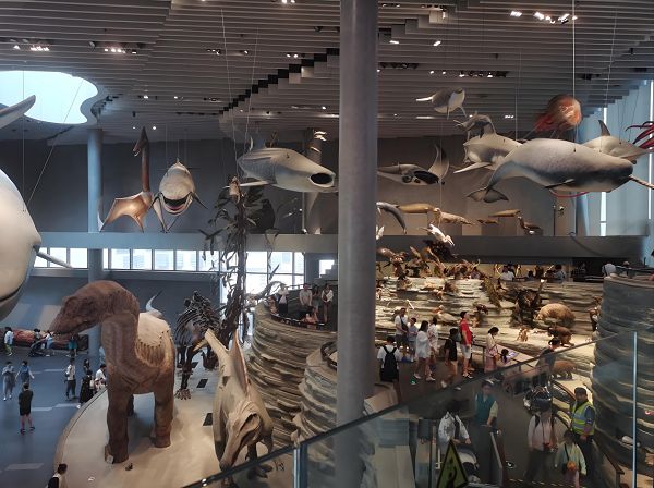 海”带你逛遍魔都海岸线!开元棋牌16+6“走进申(图17) 海”带你逛遍魔都海岸线!开元棋牌16+6“走进申(图17)