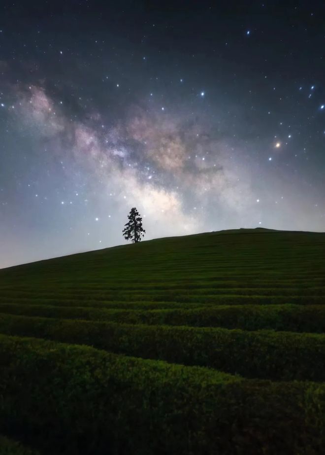 听说今夜有流星雨！(图6)