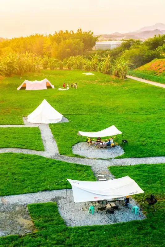 听说今夜有流星雨!(图12) 听说今夜有流星雨!(图12)